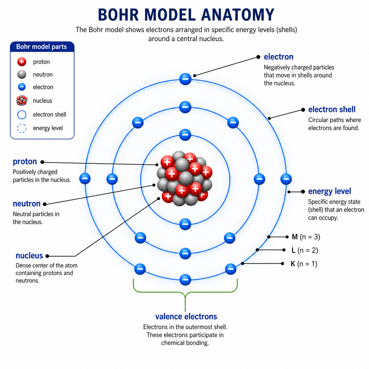Fully labeled Bohr model anatomy diagram with protons, neutrons, electrons, nucleus, electron shells, energy levels, and valence electrons