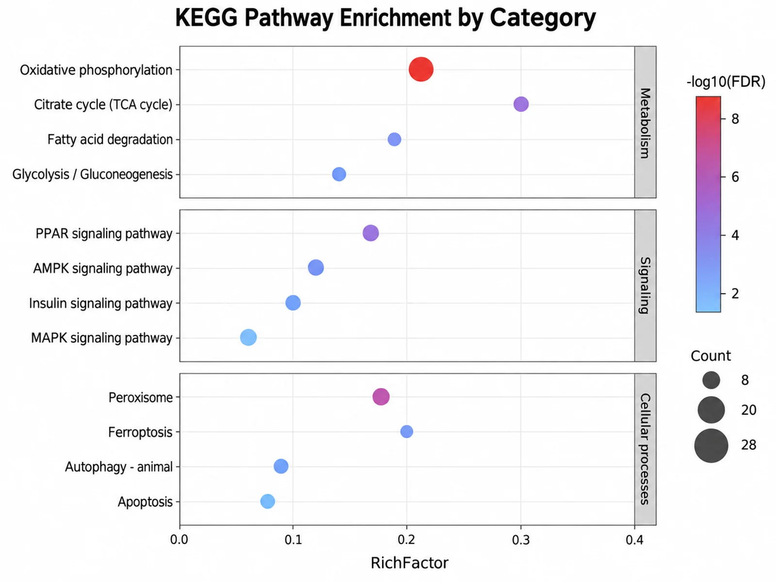 KEGG Pathway Enrichment by Category bubble chart example preview