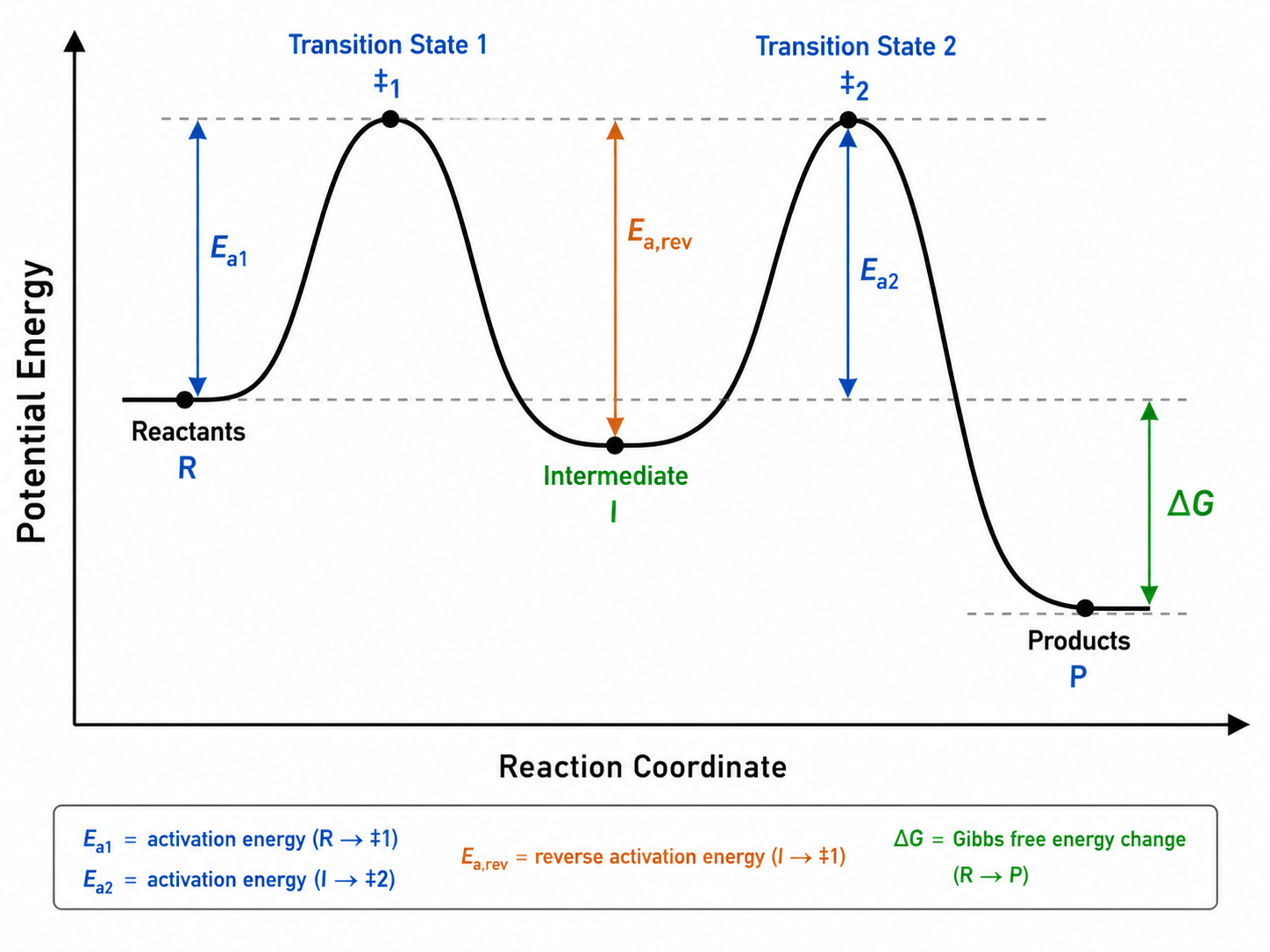 Reaction energy profile diagram with reactants, transition states, intermediates, activation energy, and products