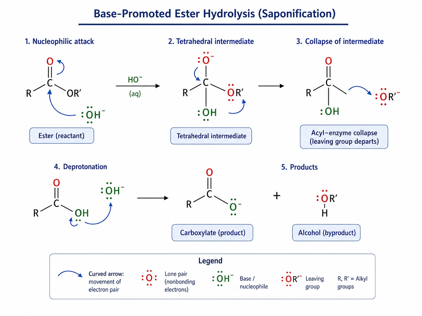 Reaction mechanism overview with curved arrows between intermediates