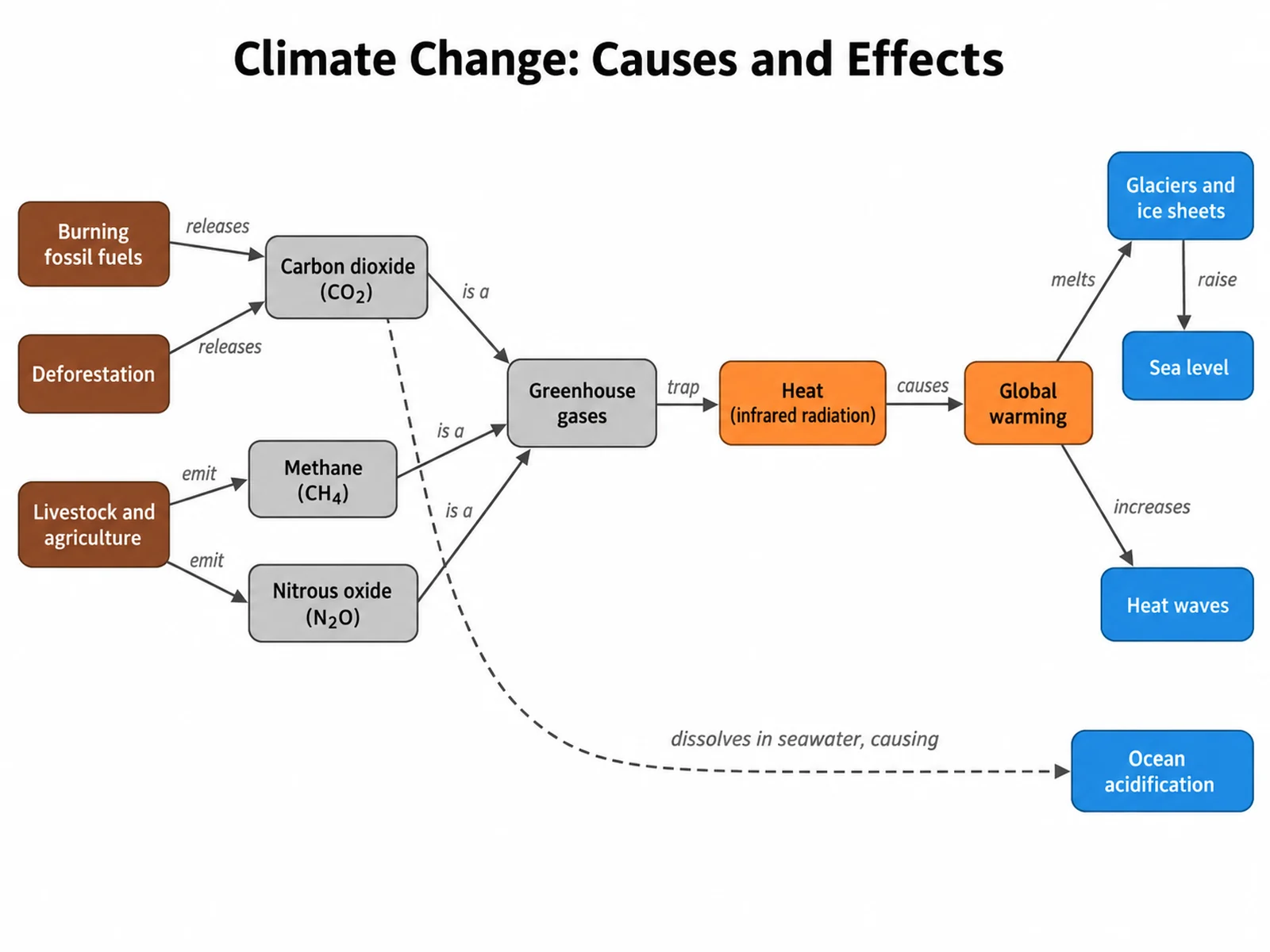 Concept map of climate change causes, greenhouse gases, global warming, and effects including sea level rise and ocean acidification