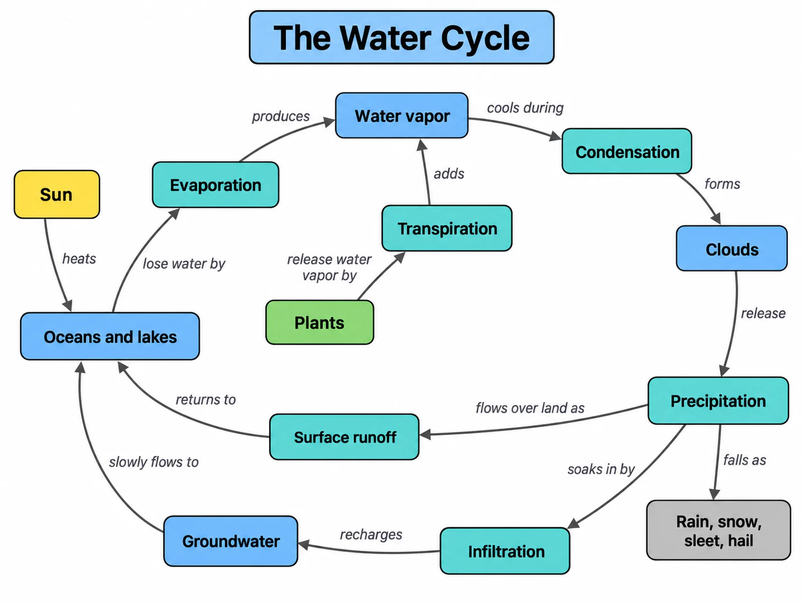 Water cycle concept map linking evaporation, transpiration, condensation, precipitation, runoff, infiltration, and groundwater