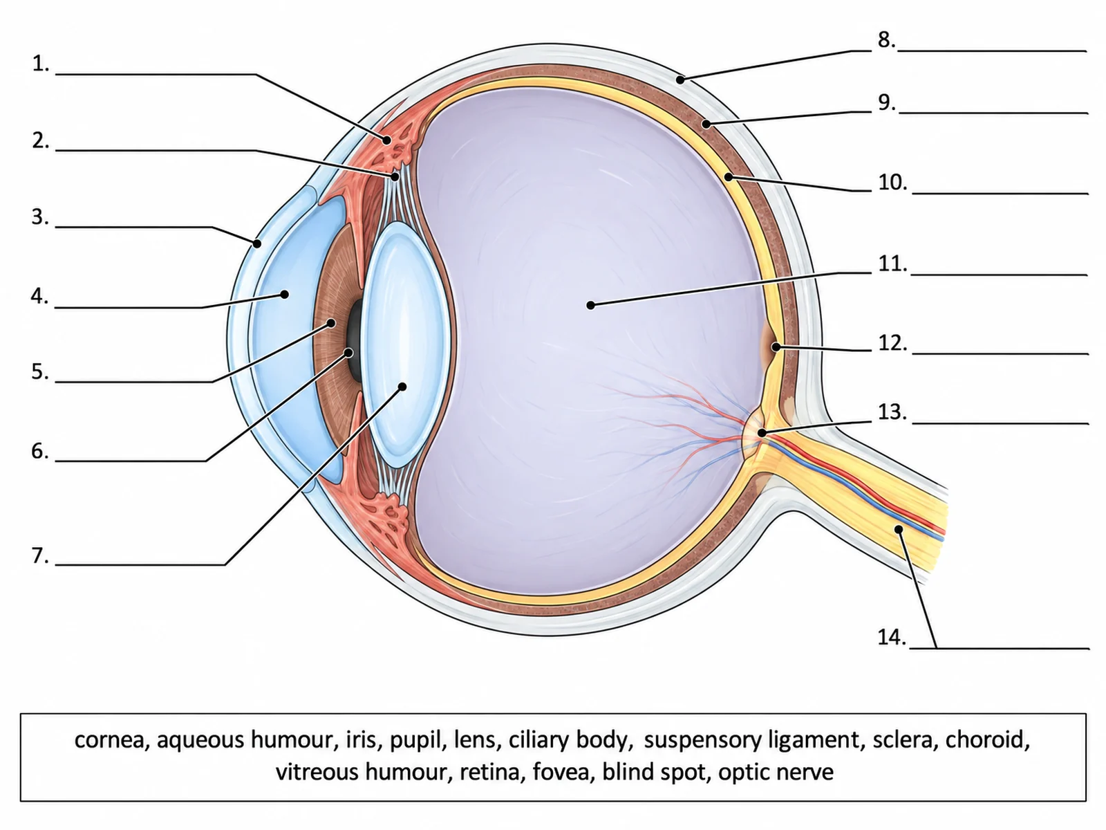 Eye Diagram Generator preview