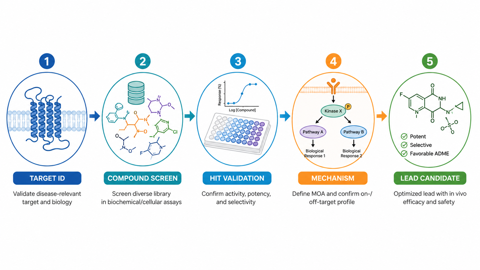 Graphical Abstract Maker preview