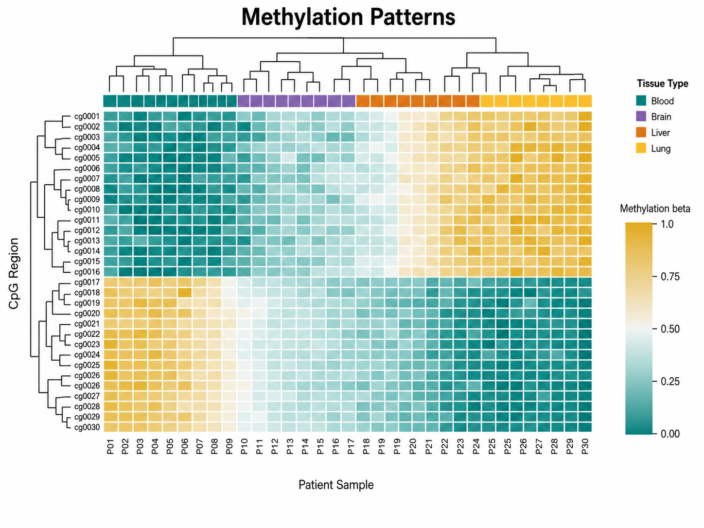 Heatmap Generator: Methylation Patterns scientific chart example