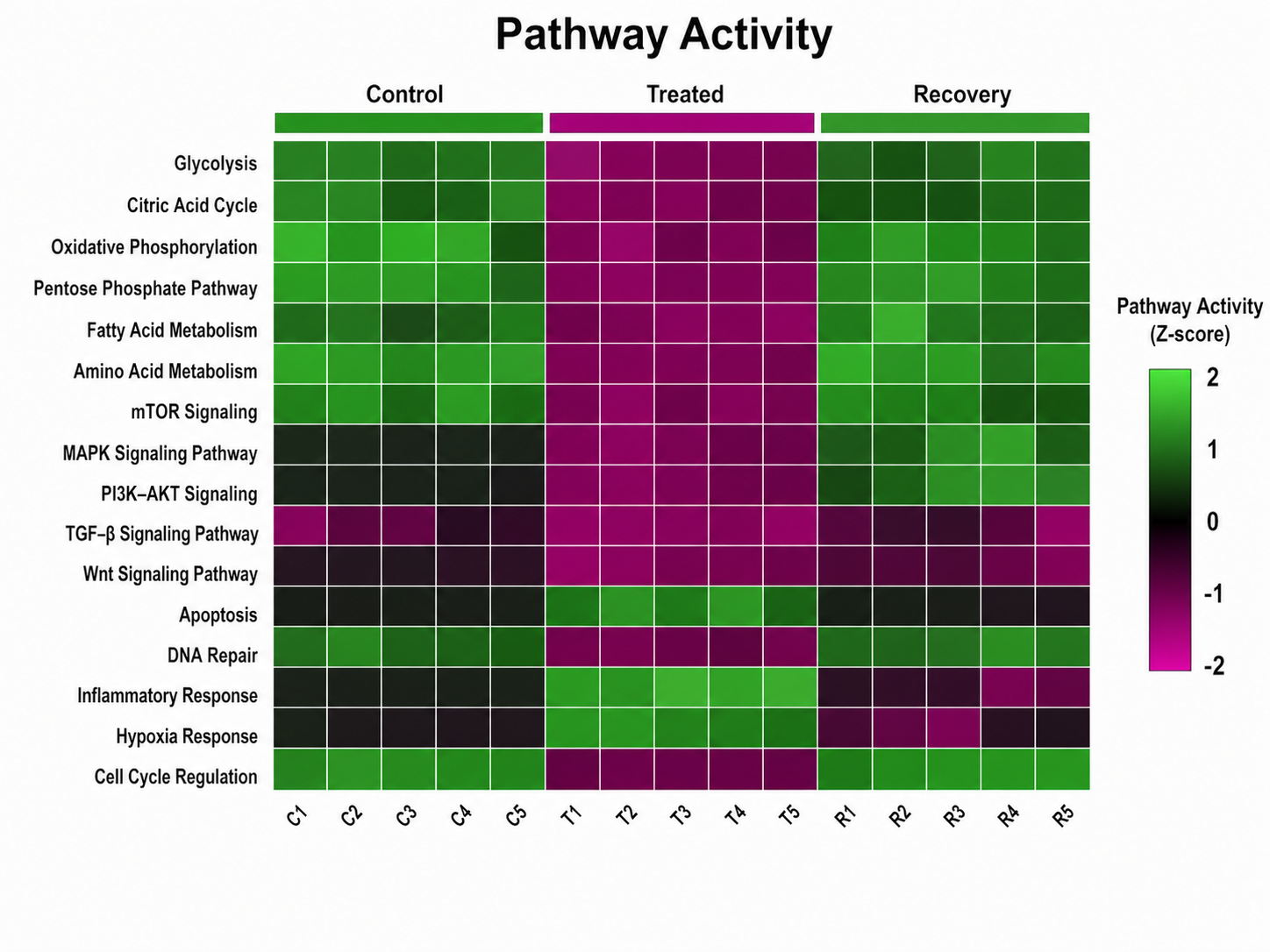 Pathway Activity heatmap example preview