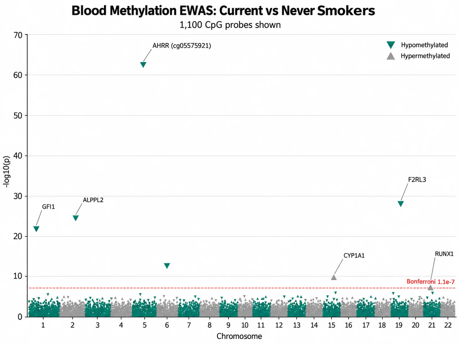Manhattan Plot Generator: Blood Methylation EWAS Manhattan Plot scientific chart example