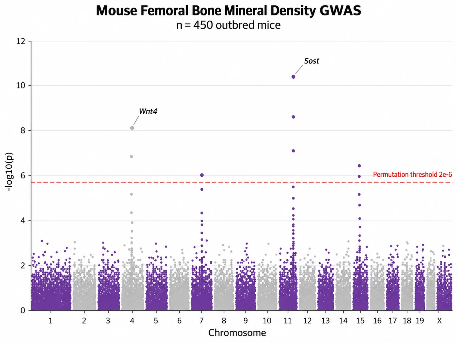 Manhattan Plot Generator: Mouse Bone Density GWAS scientific chart example