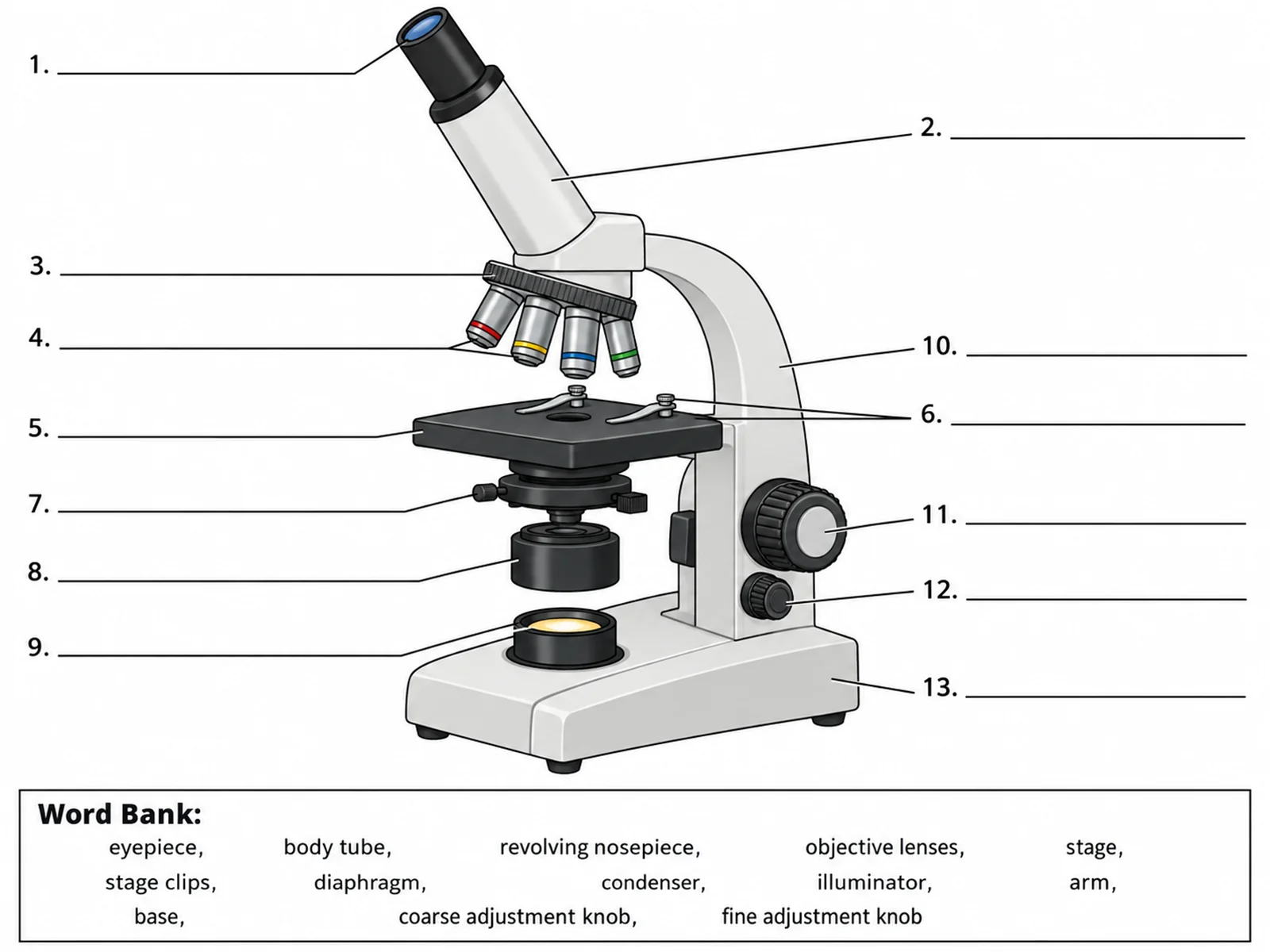 Blank unlabeled microscope diagram with numbered empty label lines and a word bank for students to complete