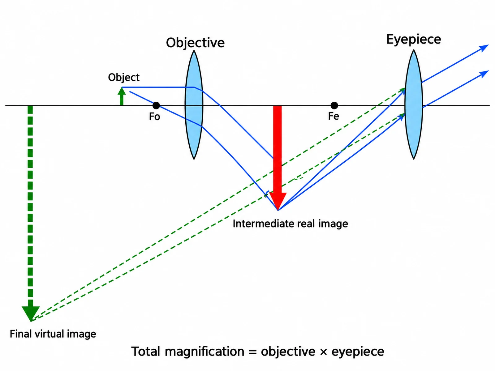 Optical ray diagram of a compound microscope showing the objective forming a real inverted image and the eyepiece forming a magnified virtual image