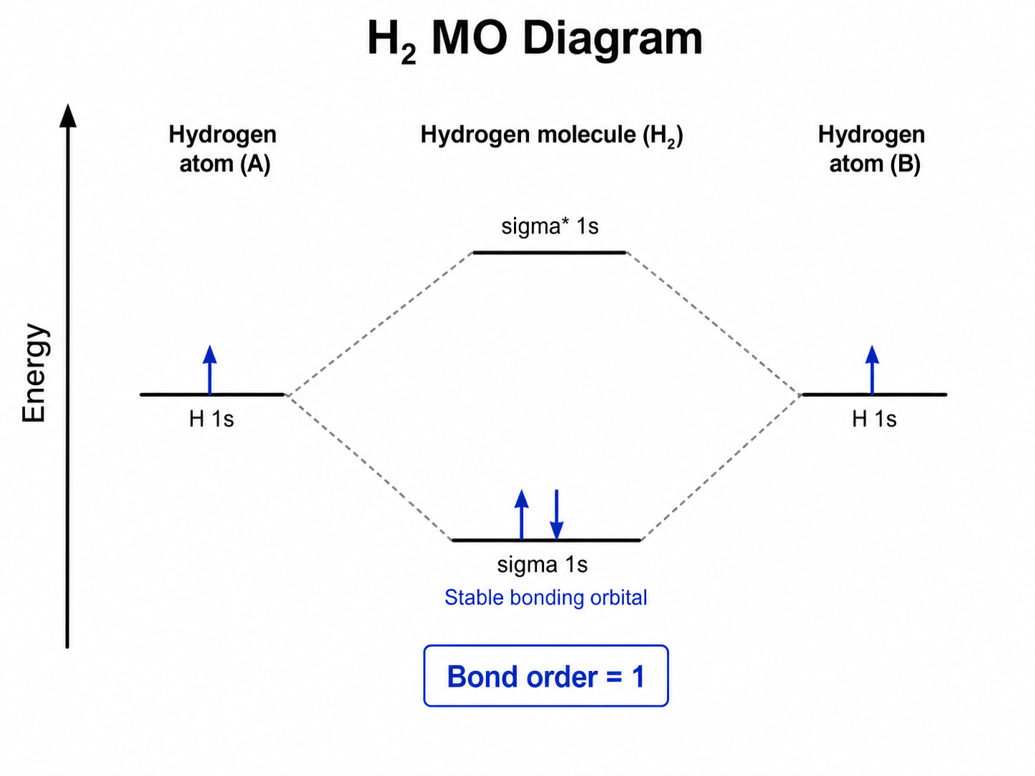 Hydrogen molecular orbital diagram with two hydrogen 1s atomic orbitals, sigma 1s bonding orbital, sigma star 1s antibonding orbital, and bond order 1