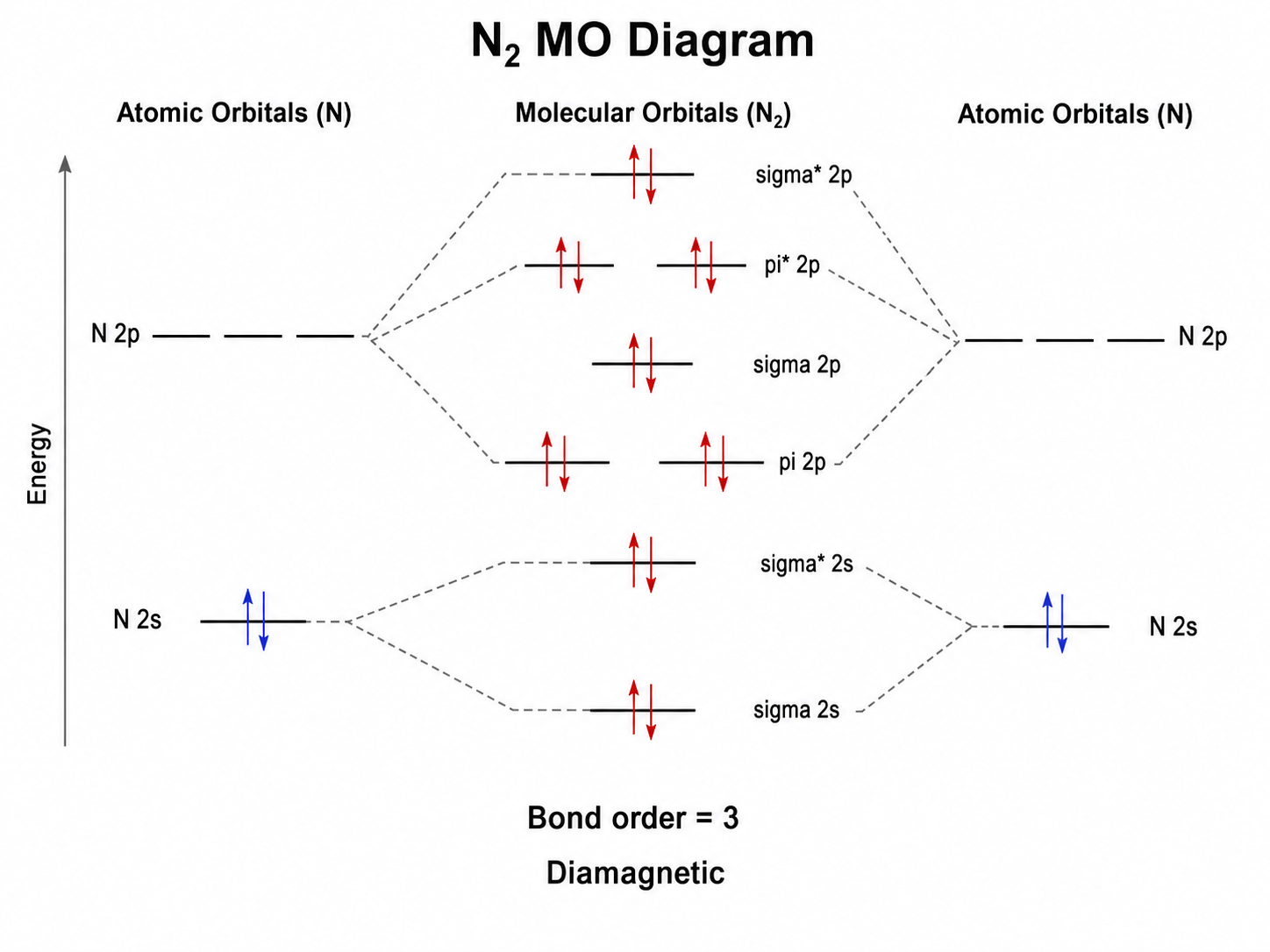 Nitrogen molecular orbital diagram with sigma and pi orbitals, electron arrows, s-p mixing, bond order 3, and diamagnetic label