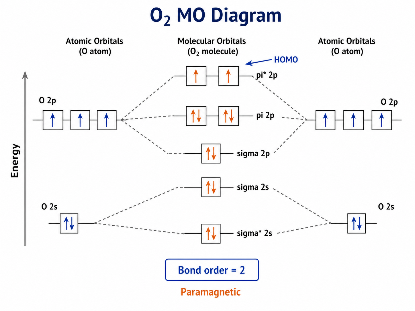 Oxygen molecular orbital diagram with pi star antibonding orbitals, two unpaired electrons, bond order 2, and paramagnetic label