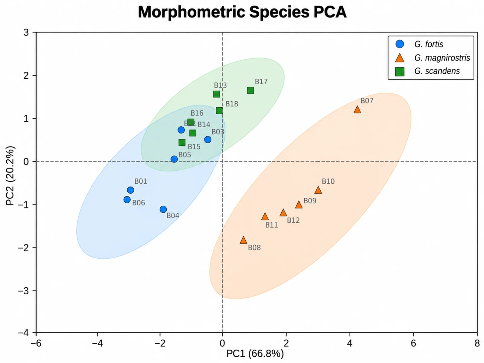 Morphometric Species PCA PCA plot example preview