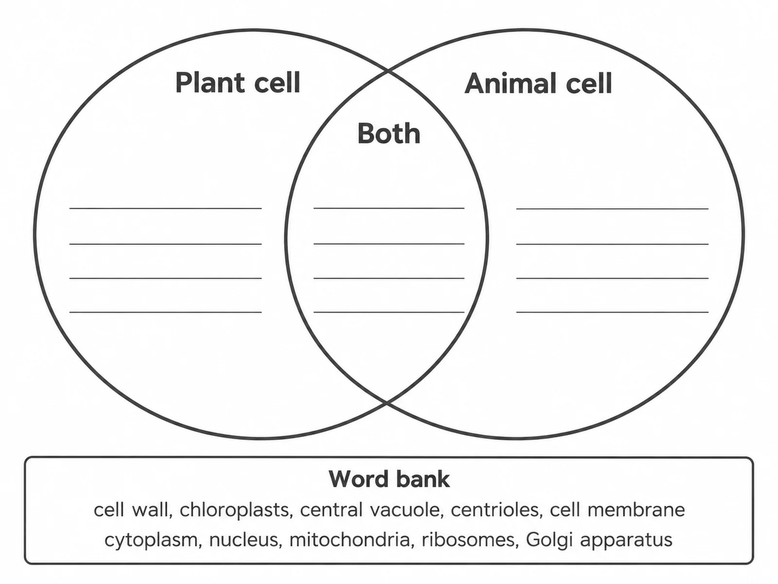 Blank plant and animal cell Venn diagram with empty circles and ruled lines for students to complete