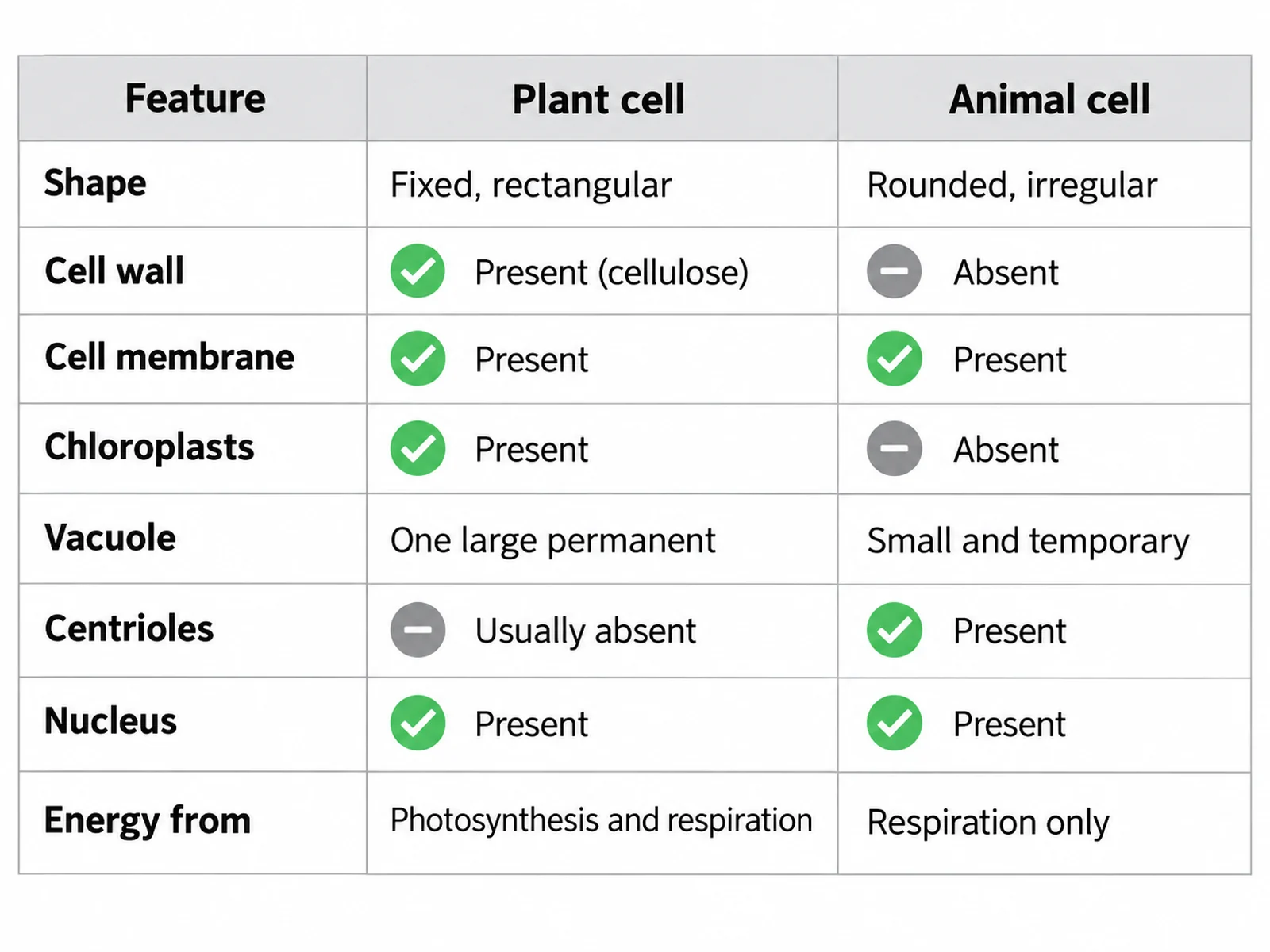 Comparison table of plant and animal cell features listing shape, cell wall, chloroplasts, vacuole, centrioles, and energy source