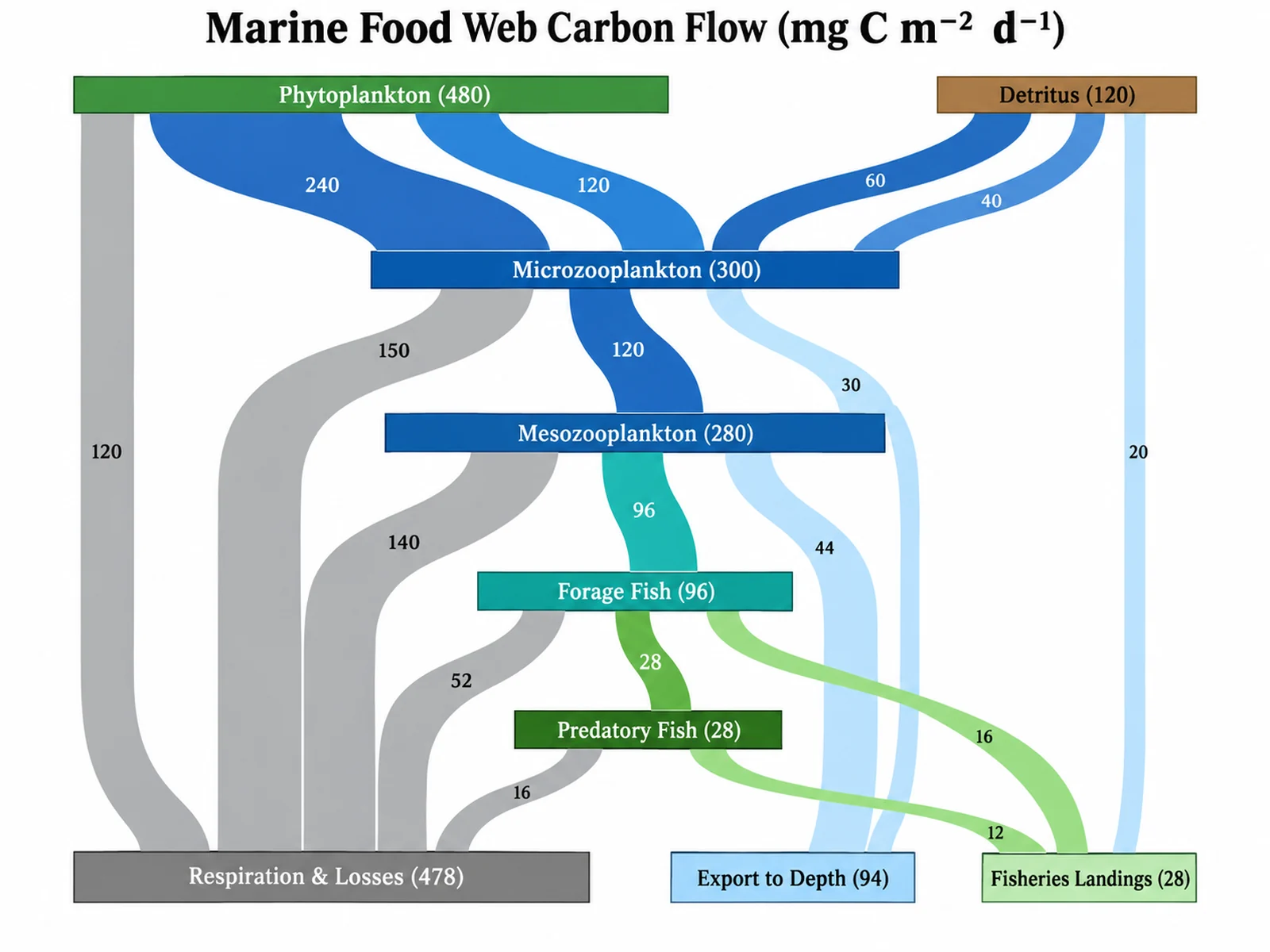 Sankey Diagram Generator: Marine Food Web Carbon Flow scientific chart example