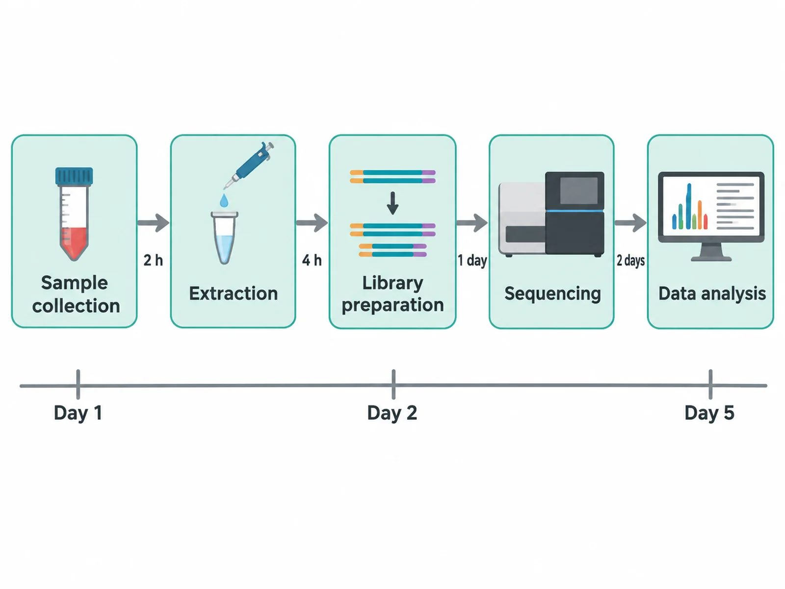 Diagramm eines Versuchsablaufs in fünf Schritten von links nach rechts, von der Probenahme bis zur Datenanalyse, mit beschrifteten Pfeilen zwischen den Schritten