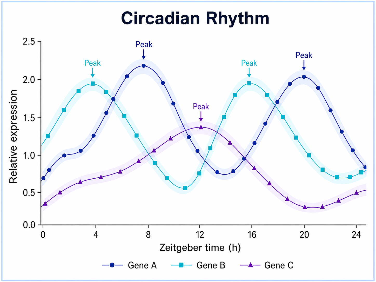 Time Series Plot Generator for Scientific Data: Circadian Rhythm scientific chart example