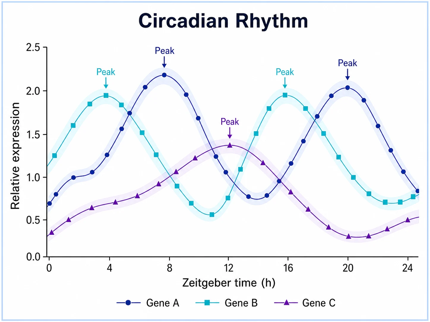 Zeitreihendiagramm erstellen: Zirkadianer Rhythmus scientific chart example