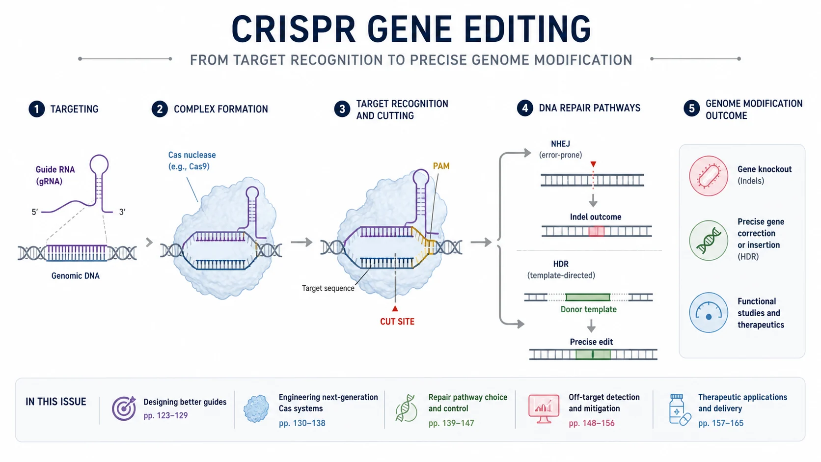 TOC-Grafik zur Geneditierung mit CRISPR: Ziel-DNA, Guide-RNA, Cas-Enzym und Symbole für das Editierergebnis