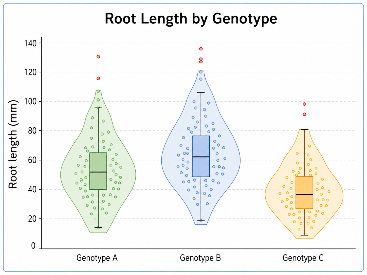 Root Length by Genotype violin plot example preview
