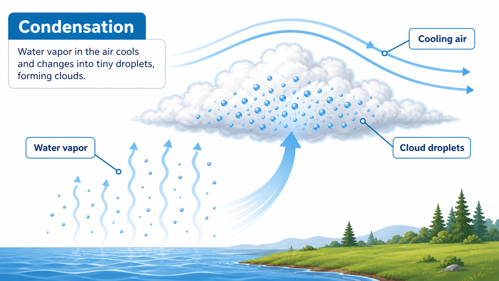 Condensation diagram showing water vapor cooling into cloud droplets with labeled arrows