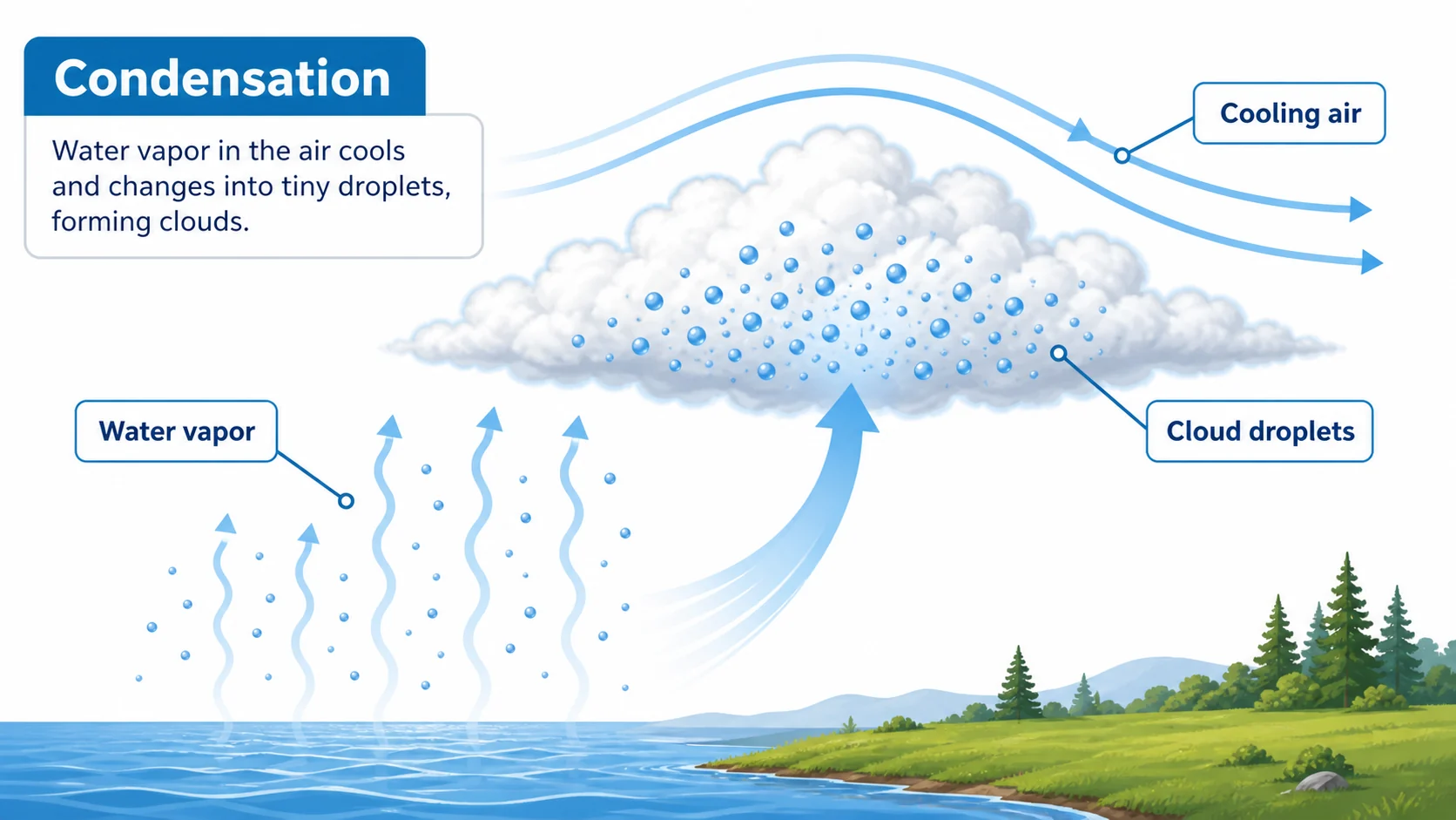 Schaubild zur Kondensation: Wasserdampf kühlt ab und bildet Wolkentröpfchen, mit beschrifteten Pfeilen