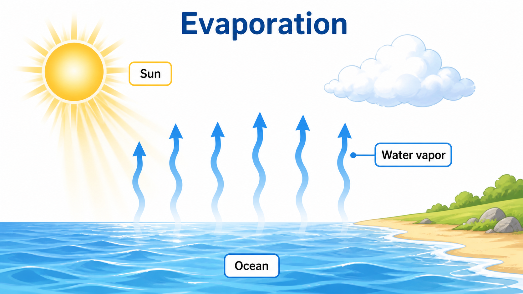 Evaporation stage diagram showing sun heating ocean water and vapor rising into the air