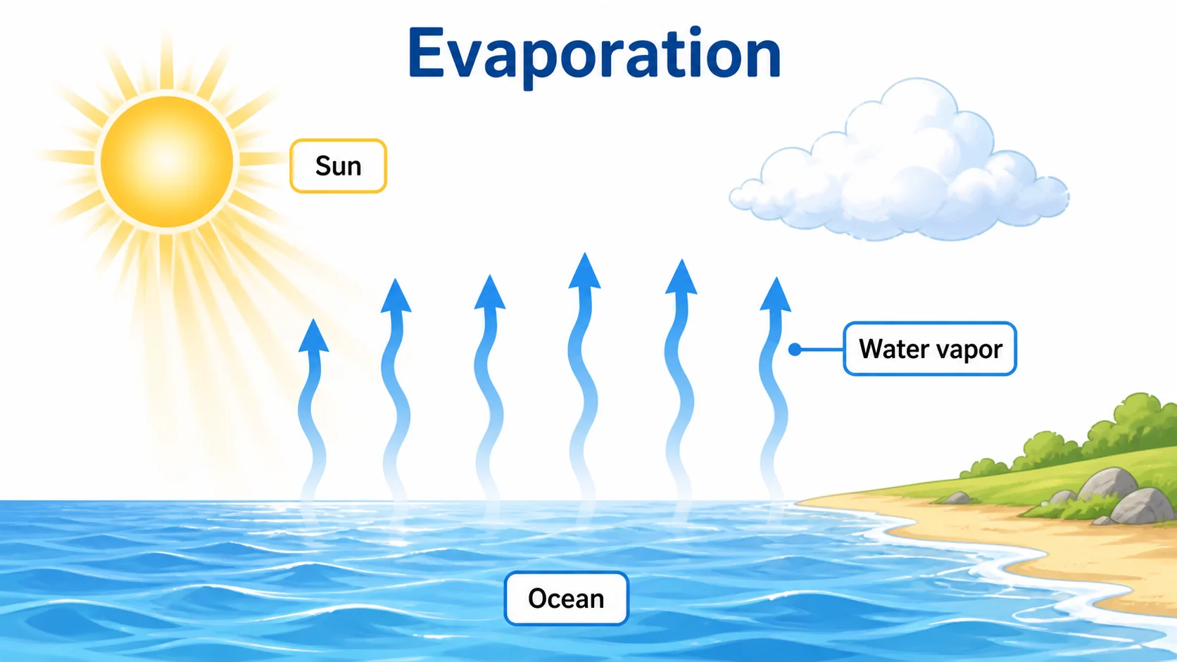 Schaubild zur Verdunstung: Die Sonne erwärmt das Meerwasser, Wasserdampf steigt in die Luft auf