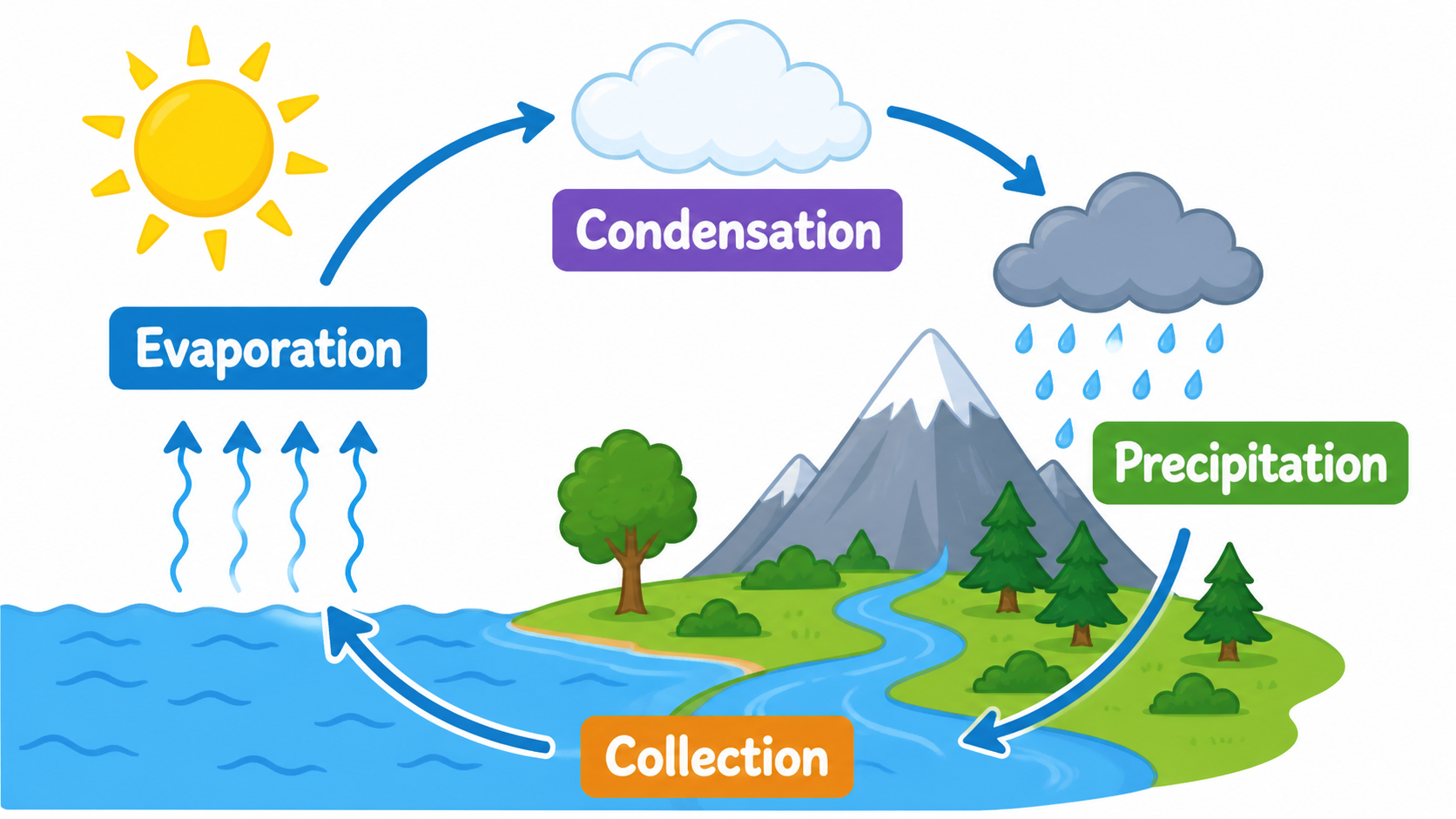 Simple water cycle diagram for kids with evaporation, condensation, precipitation, and collection labels