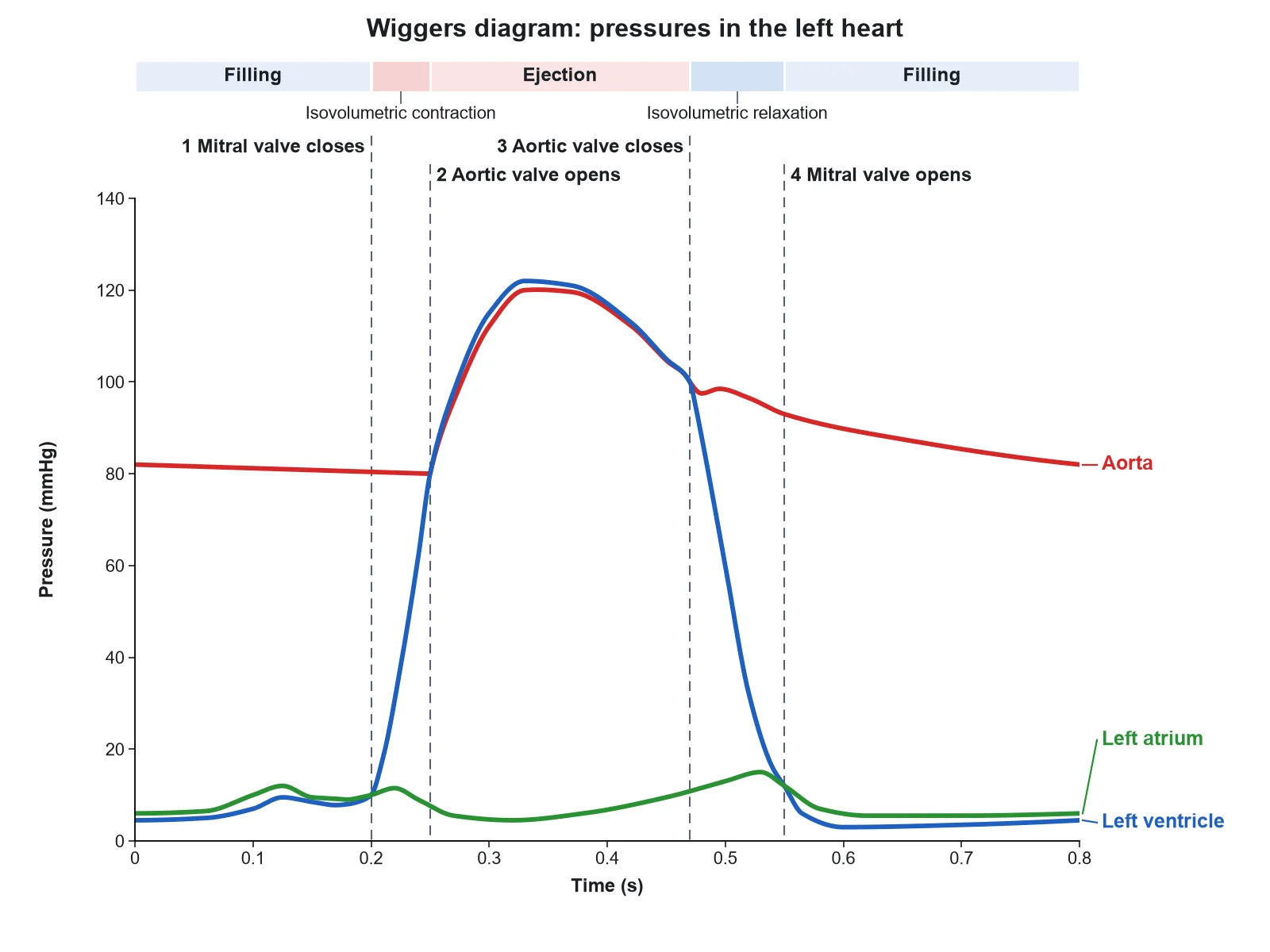 Simple Wiggers diagram with only aortic, left ventricular, and left atrial pressure, four valve events marked where the traces cross, and the four phases of the cardiac cycle named