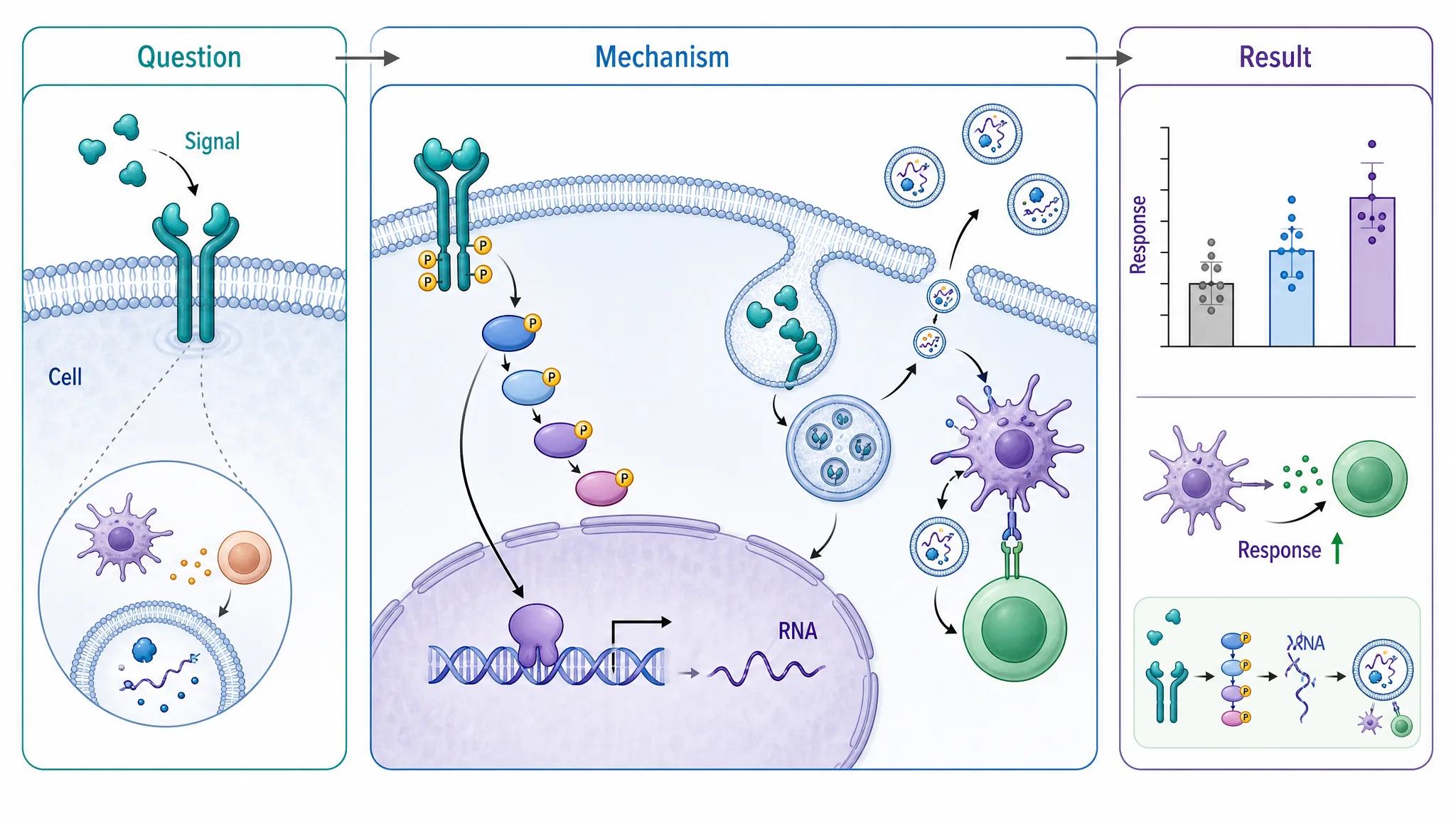 AI-generated journal graphical abstract showing question, mechanism, and result panels.