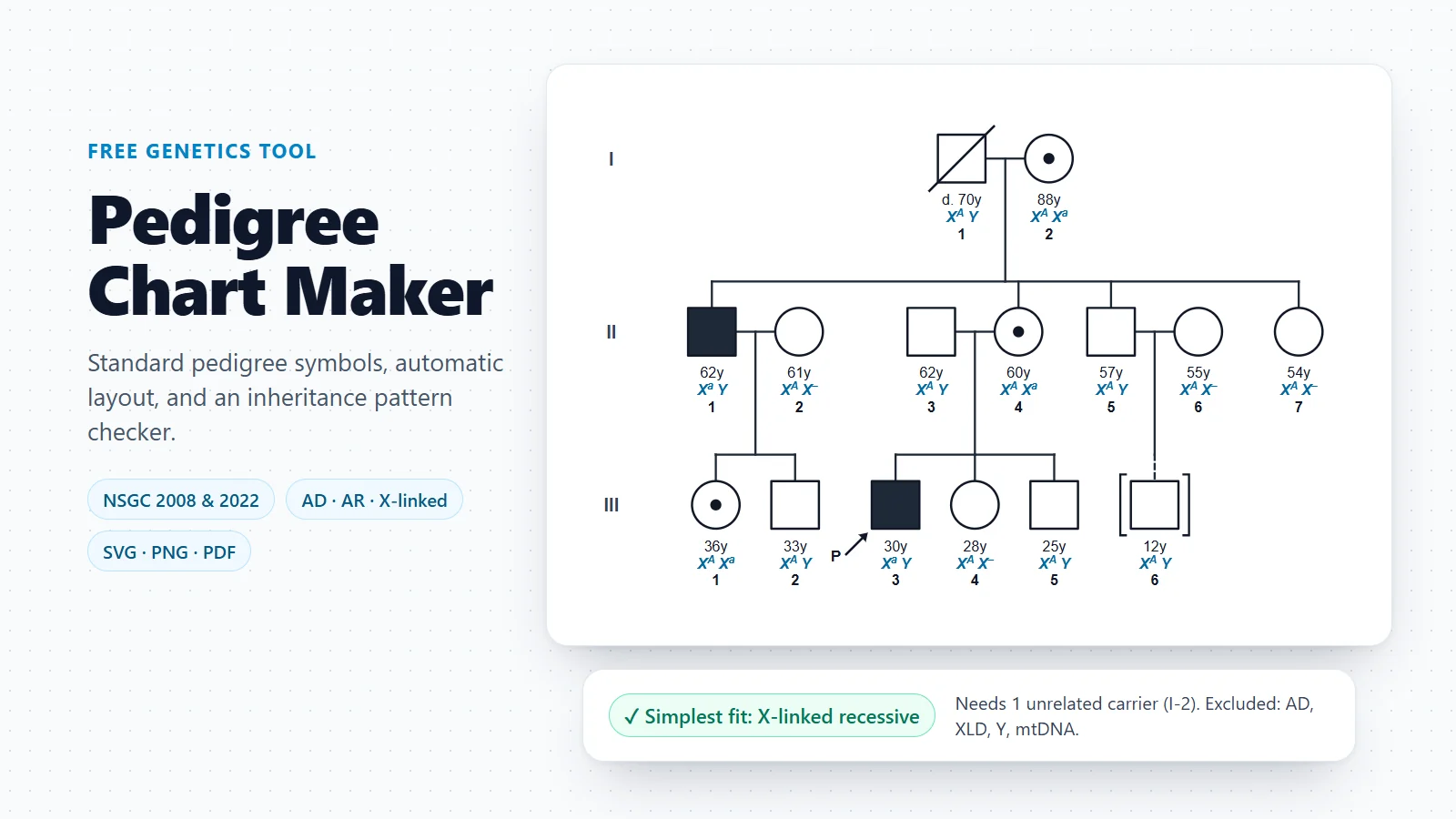 Pedigree Chart Maker: Free Pedigree Maker and Solver | SciFigure AI